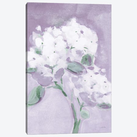 Elegant Hydrangea Purple Canvas Print #KPT42} by Katrina Pete Art Print
