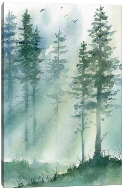 Forest Light Canvas Art Print - Pine Tree Art