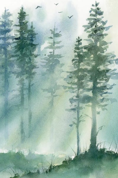 Pine Trees: Forest Light by Katrina Pete
