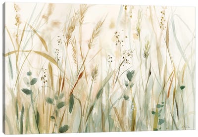In The Meadow Canvas Art Print - Cream Art