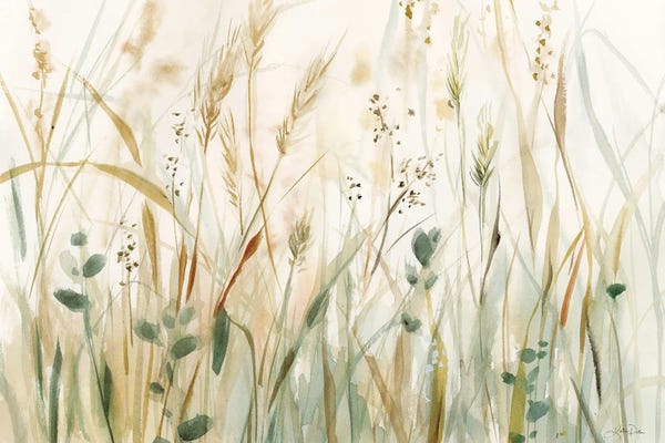 Grasses: In The Meadow by Katrina Pete