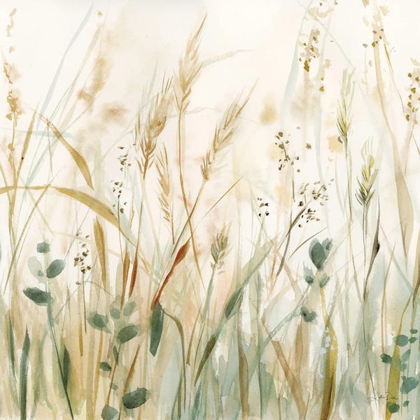 Grasses: In The Meadow Crop by Katrina Pete