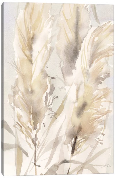 Light Pampas Grasses II Canvas Art Print - Plant Art