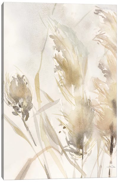 Light Pampas Grasses III Canvas Art Print - Plant Art