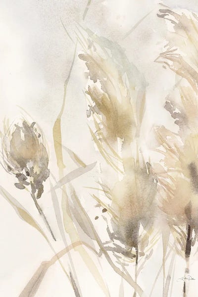 Katrina Pete: Light Pampas Grasses III by Katrina Pete