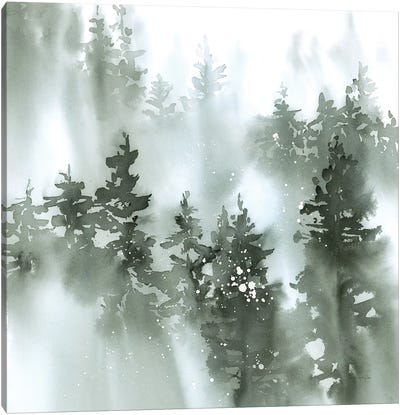 Misty Forest I Green Canvas Art Print - Pine Tree Art