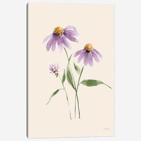 Wild Blooms I Canvas Print #KPT55} by Katrina Pete Art Print
