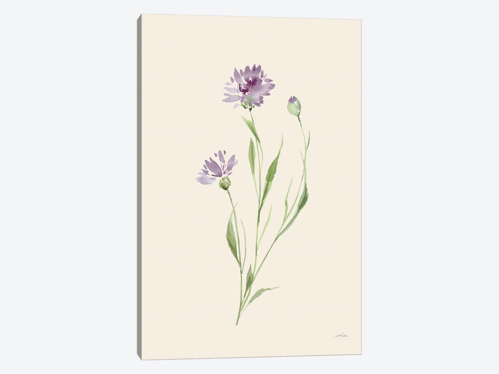 Wild Blooms II by Katrina Pete 1-piece Canvas Art Print