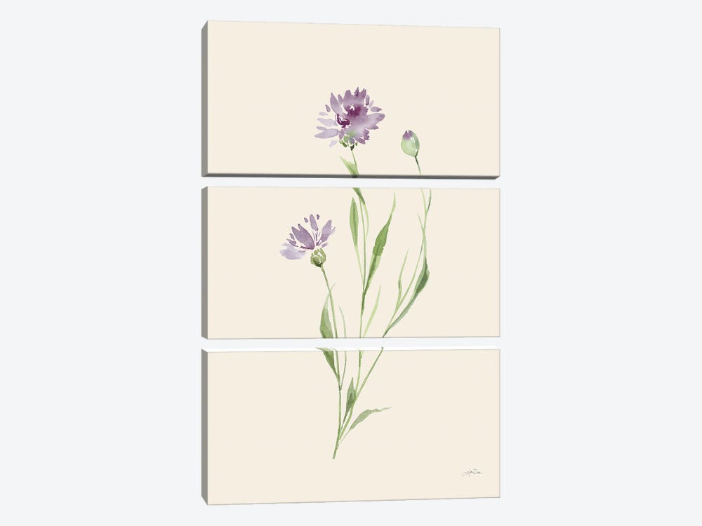 Wild Blooms II by Katrina Pete 3-piece Art Print