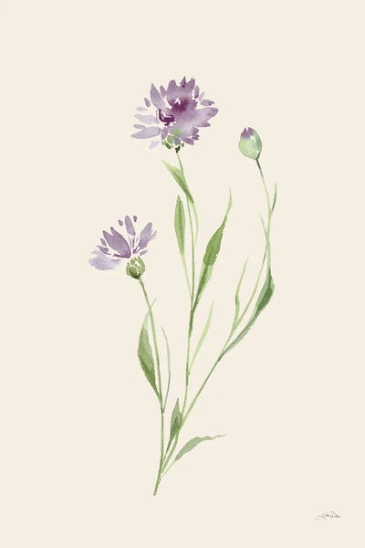 Katrina Pete: Wild Blooms II by Katrina Pete