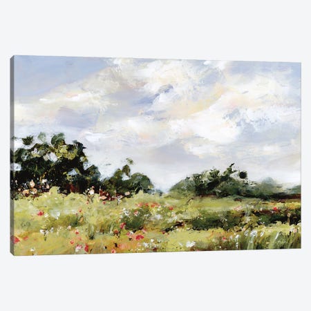 Wildflower Meadow Canvas Print #KPT59} by Katrina Pete Canvas Art