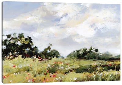 Wildflower Meadow Canvas Art Print - Katrina Pete