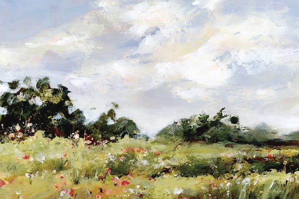 Wildflowers: Wildflower Meadow by Katrina Pete