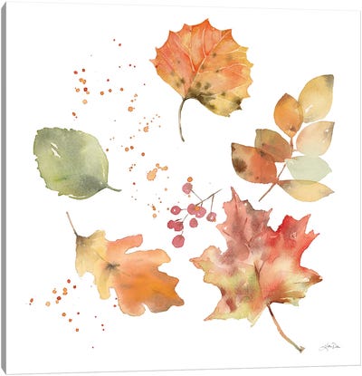 Falling Leaves I Canvas Art Print