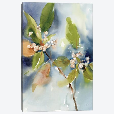 Winter Berries Canvas Print #KPT60} by Katrina Pete Canvas Print