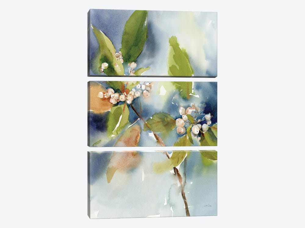 Winter Berries by Katrina Pete 3-piece Canvas Art