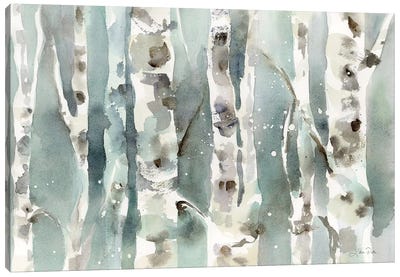 Winter Birches Canvas Art Print - Birch Tree Art