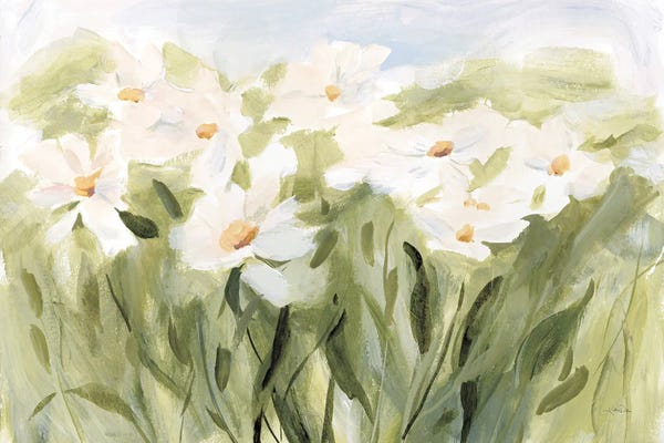 Daisies: Daisy Meadow by Katrina Pete