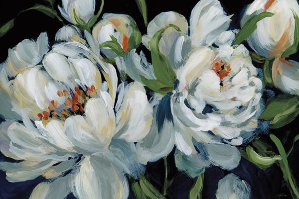 Peonies: Peony Season I by Katrina Pete