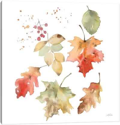 Falling Leaves II Canvas Art Print