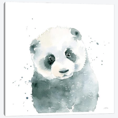 Panda Cub Canvas Print #KPT7} by Katrina Pete Canvas Art