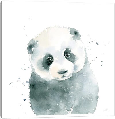 Panda Cub Canvas Art Print
