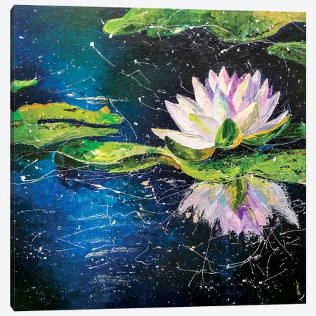 Water Lilly Canvas Print #KPV161} by KuptsovaArt Canvas Wall Art