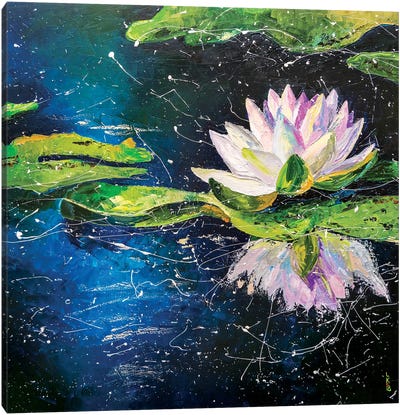 Water Lilly Canvas Art Print - Water Lilies Collection