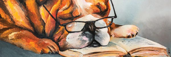 Reading: When The Book Is Boring by KuptsovaArt