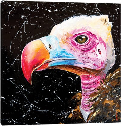 Vulture Canvas Art Print - Vulture Art
