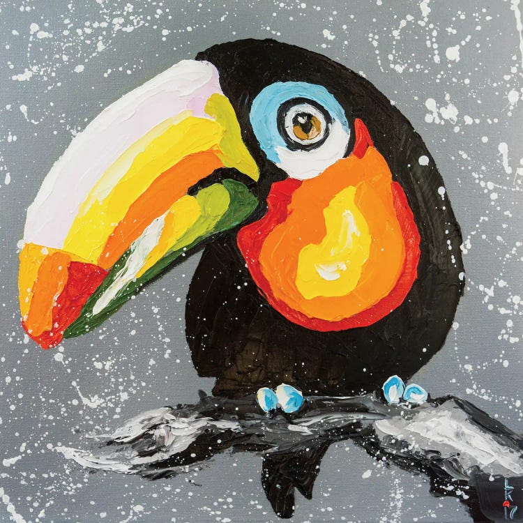 Funny Toucan