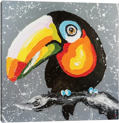 Funny Toucan Canvas Art Print - Toucan Art