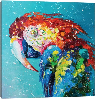 Macao Parrot Canvas Art Print - Macaw Art