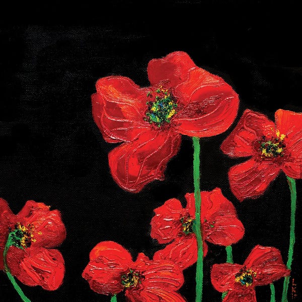 Poppies