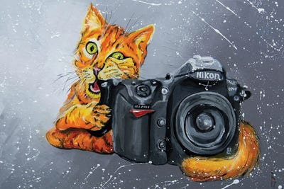 Paparazzi by KuptsovaArt canvas print