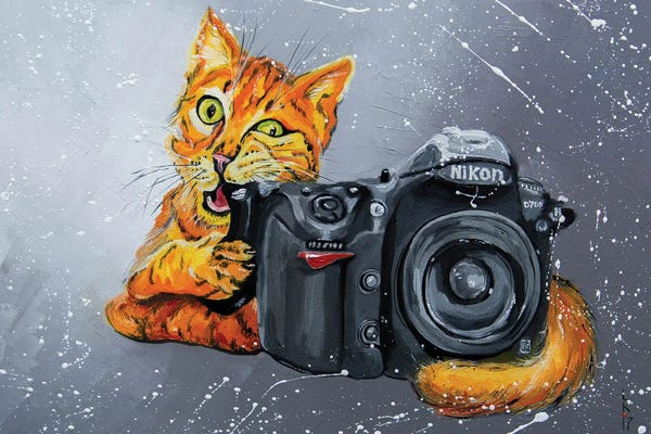 Photography As A Hobby: Paparazzi by KuptsovaArt