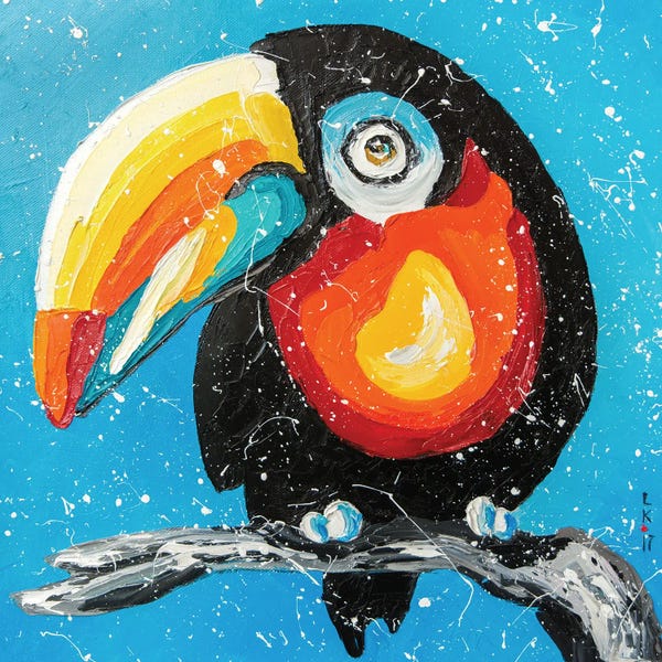 Toucan
