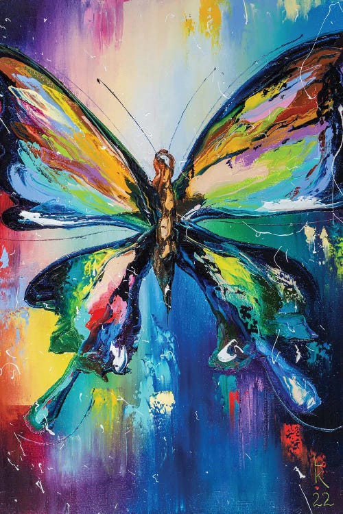 Colorful Butterfly
