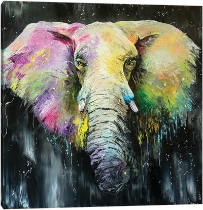 I'm The Elephant Canvas Art Print - KuptsovaArt