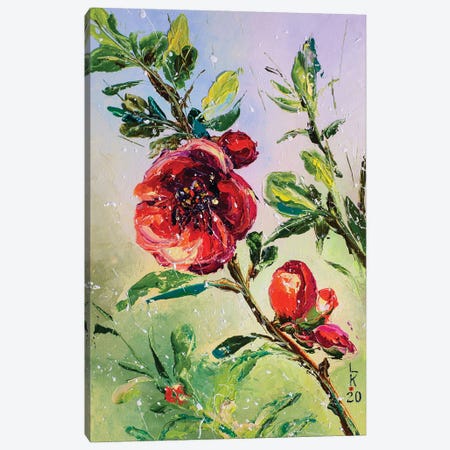Flowering Branch Canvas Print #KPV428} by KuptsovaArt Canvas Print