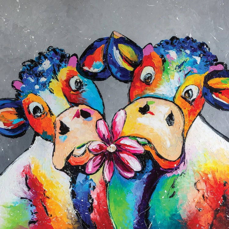 Cows Date