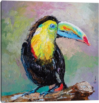 Toucan Bird Canvas Art Print - KuptsovaArt