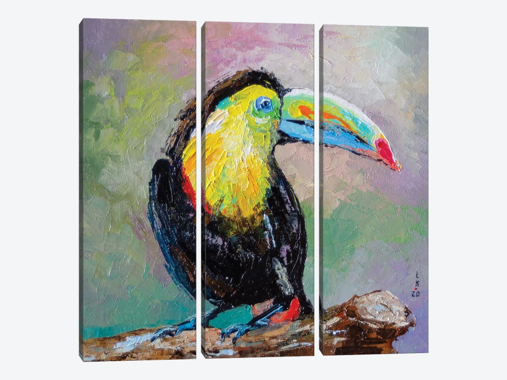 Toucan Bird by KuptsovaArt 3-piece Art Print