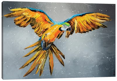 Yellow Parrot Canvas Art Print - KuptsovaArt