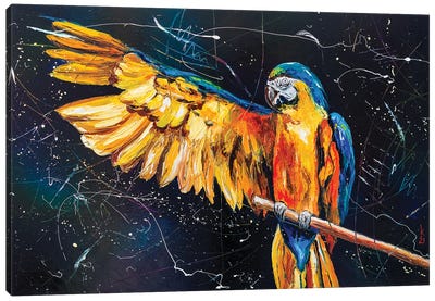Freedom For Parrots Canvas Art Print - KuptsovaArt