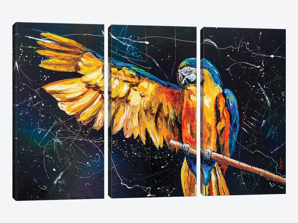 Freedom For Parrots by KuptsovaArt 3-piece Canvas Art