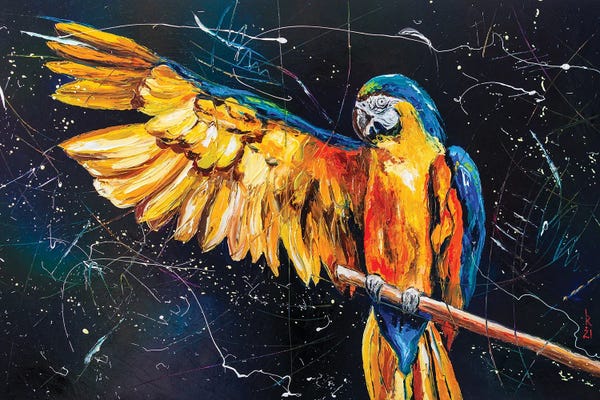 Parrots: Freedom For Parrots by KuptsovaArt