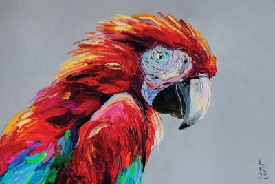Macaws