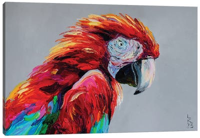 Macaw Canvas Art Print - KuptsovaArt