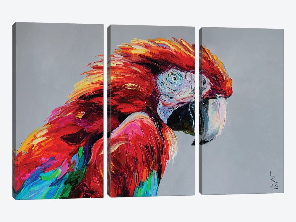 Macaw by KuptsovaArt 3-piece Canvas Wall Art